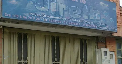 ACUARIO JIRETH ACUARIO JIRETH